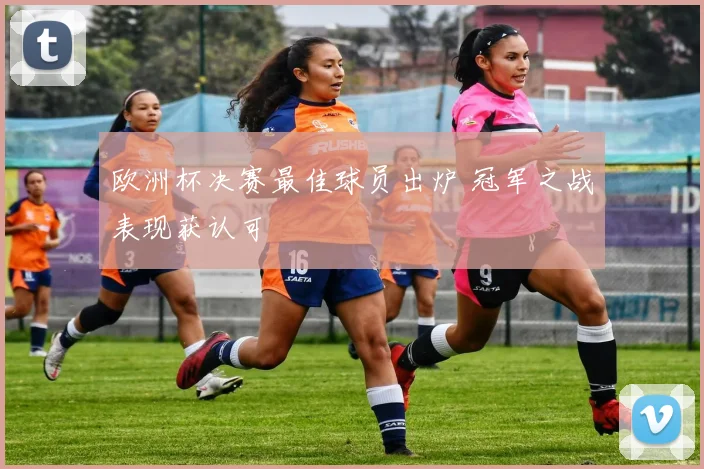欧洲杯决赛最佳球员出炉 冠军之战表现获认可