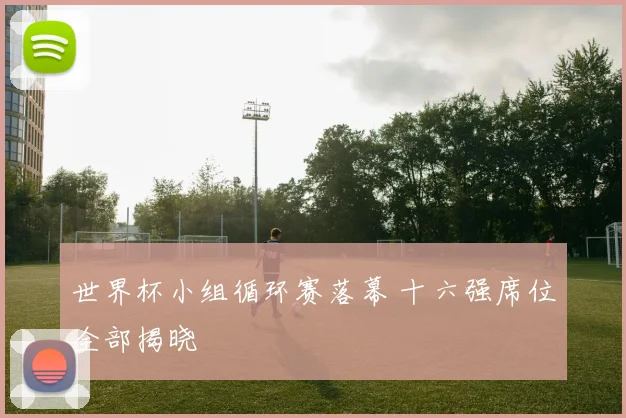 世界杯小组循环赛落幕 十六强席位全部揭晓