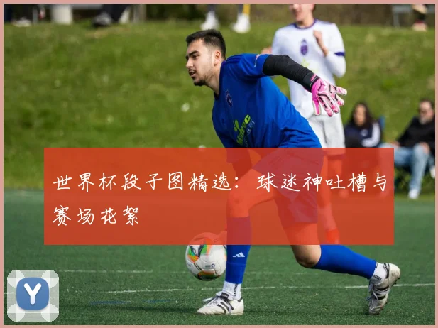 世界杯段子图精选：球迷神吐槽与赛场花絮
