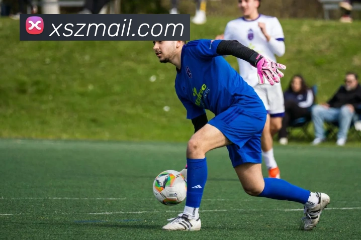 世界杯官网登录app服务体系